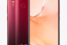 Vivo Y12i: Smartphone Terjangkau dengan Desain Elegan dan Baterai Tahan Lama