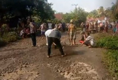 Pemerintah Harusnya Malu, Warga Dusun Baru Gotong Royong Perbaiki Jalan Berlubang 