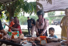 Murah, Harga ayam Potong Terjun ke Rp 22.000 per Kilogram, Namun Daya Beli Masyarakat Masih Lemah