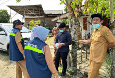 Waspada Demam Berdarah di Bengkulu Selatan