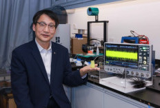   Penelitian PolyU Ungkap Persepsi Mekanoelektrik pada Duri Landak Laut, Berdayakan Sensor Biomimetik 