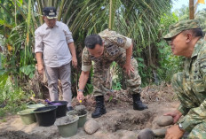 Kerap Sebabkan Pengendara Sawit Terjatuh ke Sungai, Jembatan Gantung Padang Merbau Direhab 