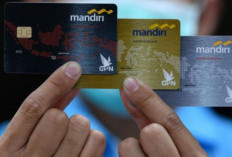 Perbedaan Creditcard, Antara Visa dan Mastercard