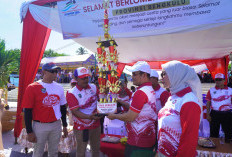  600 Atlet Renang Ikut kejurprov Bengkulu, 28 Klub Renang