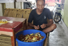 Harga Jengkol di Seluma Anjlok, Bahan Sembako Lainnya Naik