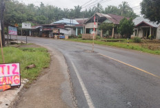 Lubang di Tengah Jalan Lintas Barat Bengkulu–Tais Semakin Membesar, Warga Pasang Tanda Bendera Peringatan