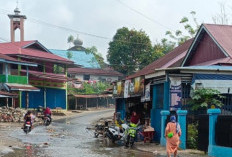 Jalan Lintas Palak Siring Butuh Perhatian Pemerintah