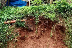 Jika Longsor Tak Direspon Pemda, Anggota Dewan Bakal Galang Dana