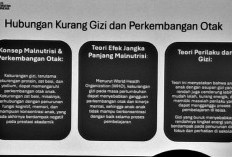 Asupan Gizi Cukup, Cegah Anak Kurangi Risiko Working Memory Rendah