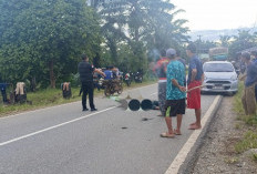 Pegawai Pengadilan Negeri Tais Meninggal Dunia dalam Kecelakaan di Talang Dantuk Seluma