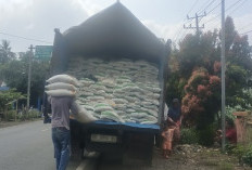 Beras Bulog 8 Ton Disalurkan  di Kecamatan Talo