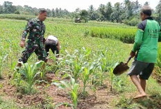 Tingkatkan Ketahanan Pangan, TNI Bantu Petani Bersihkan Lahan