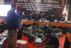 Di Seluma, Romer Hanya Unggul di Dua Kecamatan 