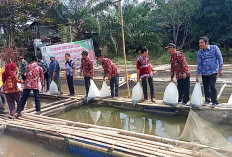 Program Ketahanan Pangan Lawang Agung Tebar 20 Ribu Ikan