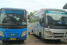 Perum DAMRI Siapkan 7 Armada Bus Perintis, Dua Unit Layani Rute Bengkulu–Kaur