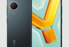 Vivo Y03T Hp Satu Jutaan yang Merajai Kelasnya