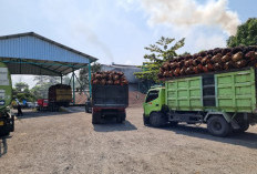Ada Dugaan Permainan, Pemkab Bengkulu Selatan Mulai Awasi Ketat PKS