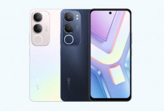 Vivo Y19s: Smartphone Entry-Level Tangguh dengan Baterai Besar dan Kamera 50?MP