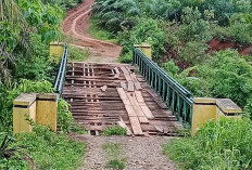 Akses Jembatan Menuju Sekolah Lapuk, Butuh Perhatian Pemerintah