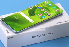 Oppo F31 Segera Hadir dengan Layar AMOLED 120Hz dan Harga Terjangkau