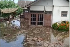 Langganan Banjir, Ratusan Rumah Warga dan Kantor Desa Padang Bakung Terdampak Banjir ROB 