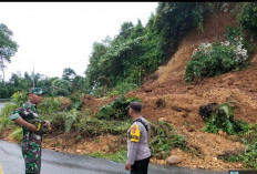 Logsor Tebing Batu Kuning, Nyaris Tutupi Badan Jalan Lintas