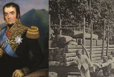 Sejarah saat Daendels Lepas Kekuasaan, Inggris Kembali Berjaya di Rempah Maluku