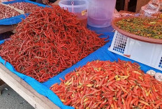 Cabe Merah di Pasar Capai Rp 70.000 Per/Kg, Bahan Dapur Merangkak Naik