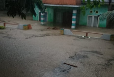 Banjir Terjang Seluma, Total 280 Rumah Terdampak dan 2 Jembatan Rusak