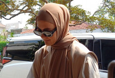 Hak Asuh Anak Tetap di Tangan Baim Wong, Paula Verhoeven Terima dengan Lapang