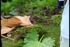 6 Orang  Hanyut di Sungai Kedurang, 2 Selamat, 1 Meninggal, 3 masih Dicari