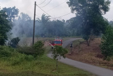 Kebakaran Lahan, Nyaris Membakar Laboratorium DLH Seluma