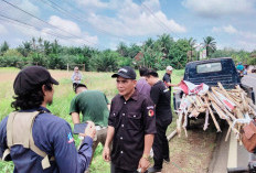 Masa Kampanye, Bawaslu Seluma Bersama Satpol-PP Mulai Sweeping APS