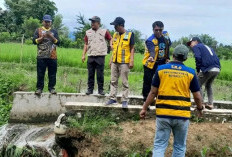  BPBD dan Tim Balai Wilayah Sungai VII Sumatra Survey Bencana Banjir di desa Muara Pulutan