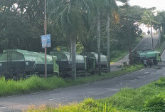 Dampak Pendangkalan Alur Pulau Bai, Truk Tangki CPO Terperosok di Seluma