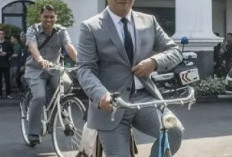 Penyidik KPK, Segera Panggil Riduan Kamil, Terkait Dugaan Korupsi BJP