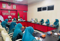 Matangkan Kesiapan MTQ ke-XXXVII, TP PKK Seluma Audiensi dengan Bagian Kesra