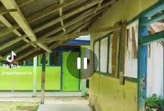 Dua Ruang Kelas SDN 50 Seluma Rusak Parah, Kabid SD: 6 Lokal Baru Dibangun, 2 Lagi Kita Usahakan Tahun Depan