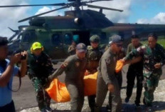 Lagi, TNI Gugur Ditembak OPM Saat Bertugas