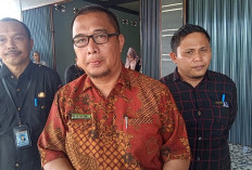 KPU, Batasi Jumlah APK yang Dipasang Paslon