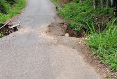 Jalan Ulu Talo Amblas, Terancam Putus, Tak Juga Diperbaiki