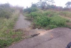 Rusak Menahun, Jalan Alternatif Talang Saling-Napal, Jadi Semak Belukar