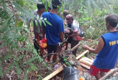  Pengojek Kayu di Seluma Meninggal Dunia, Tertimpa Muatan di Jalan Kebun