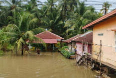 Data BPBD Banjir di Kota Bengkulu, 9 Kecamatan Terkena