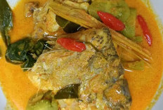 Gulai Ikan Dikeriasikan Berbagai Jenis