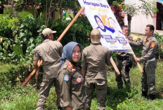 Satpol PP dan Damkar Terlibat Penertiban APK Paslon Bupati Bengkulu Selatan