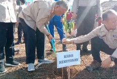 Hutan Kota Memiliki Daya Tarik Bagi Pengunjung