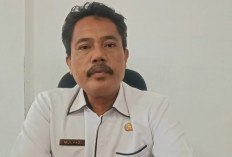   Dua Perusahaan Sawit Minat Akuisisi Pabrik CPO PT. AIP, DPMPTSP Siap Fasilitasi