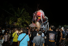 Pawai Ogoh-Ogoh di Seluma Jadi Simbol Toleransi Antarumat Beragama