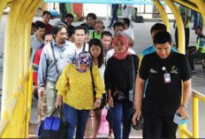 77 PMI Asal BS, Kerja Diluar Negeri